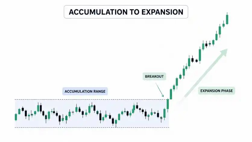 How the Expansion Phase Forms
